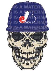 Calcomanía/Pegatina Gorra Calavera Montreal Expos ¡¡10 tamaños!! ¡Seguimiento!! - Imagen 1 de 5