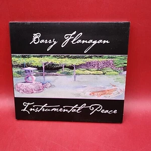 Instrumental Peace by Barry Flanagan (CD, Jan-2003, Finn Records) ACTUAL PHOTOS - Picture 1 of 4