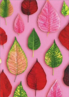 Tarjeta de nota en blanco Avanti Press rojo verde y rosa hojas de pascua en rosa Foto 1 de 2