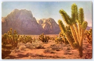 Postal de colección Mike Roberts Cactus Kodachrome Desert Scene 2217G California - Imagen 1 de 2