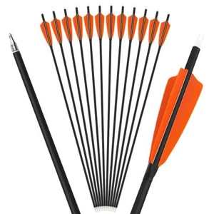 28" 30" 31" Carbon Arrows SP500 4" Turkey Feathers Archery Bow Hunting Target - Picture 1 of 20