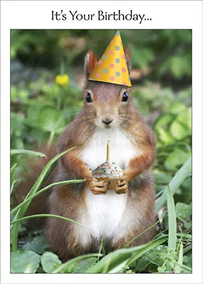 RSVP Squirrel in Party Hat Holding Cupcake Funny / Humorous Birthday Card