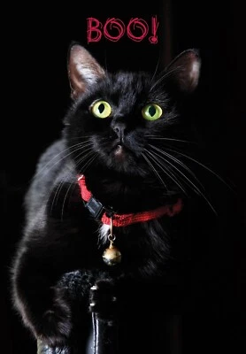 MILLBROOK STUDIOS Boo! - Halloween Greeting Card - 29957