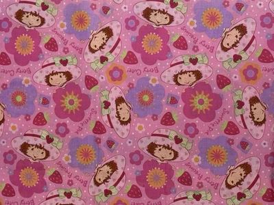 Vintage 2004 Morango Shortcake Berry Cool - BTFQ: 18” x 22” - Imagem 1 de 3