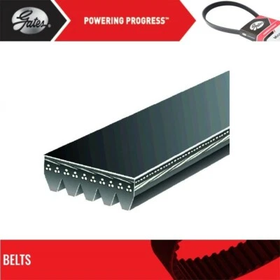 Gates Fan and Alternator Belt For 1987-1988 CHEVROLET BLAZER V8-5.7L - Imagem 1 de 4