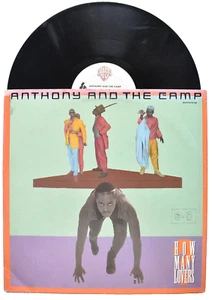 ANTHONY AND THE CAMP HOW MANY LOVERS 12" SINGLE VINYL LP RECORD 20515 1986 - Picture 1 of 6