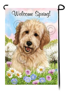 Willkommen Frühling Garten Flagge - Buff Goldendoodle - Bild 1 von 1
