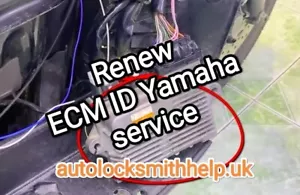 Rinnova solo servizio di codifica ECM Yamaha - Foto 1 di 1