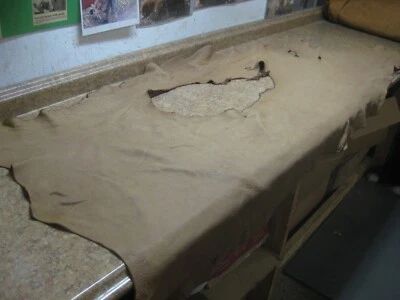 Top Grain Buffalo Leather #0011979 Row 36 - Image 1 of 4