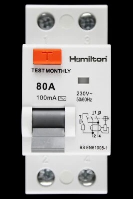 HAMILTON 80 AMP 100mA DOUBLE POLE RCD TYPE AC HLRCD80100A - Image 1 of 4