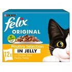 Felix Poultry Selection in Jelly Cat Food | Cats