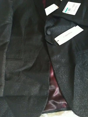 $125 Calvin Klein Chicos Grandes Chal Metálico Traje Chaqueta Separado talla 14 Fiesta  Foto 1 de 4