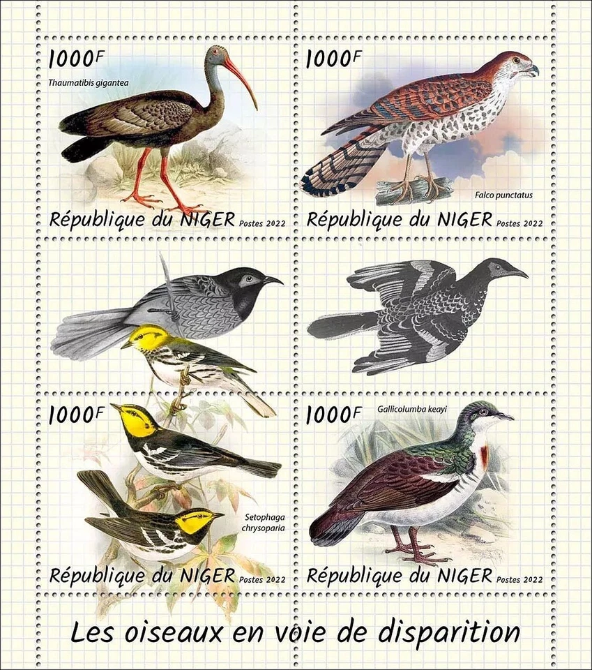 Hoja de sello de aves/pájaros raros y en peligro de extinción MNH 4v #2182 (2022 Níger) Foto 1 de 1