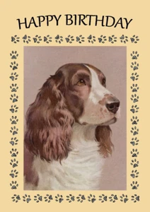 ENGLISCHER SPRINGER SPANIEL KOPF STUDIE TOLLER HUND GEBURTSTAG GRUSS NOTIZKARTE - Bild 1 von 1