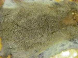 RABBIT BROWN  FUR PELTS TANNED FOR  CRAFTS SEWING FREE SHIPPING 10 OR MORE - Picture 1 of 1