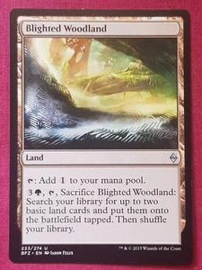 Magic The Gathering BATTLE FOR ZENDIKAR BLIGHTED WOODLAND land card MTG - Picture 1 of 2