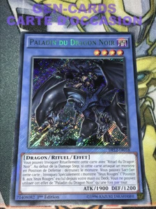 CARTE Yu Gi Oh PALADIN DU DRAGON NOIR DRL2-FR018 1ère édition - Picture 1 of 1