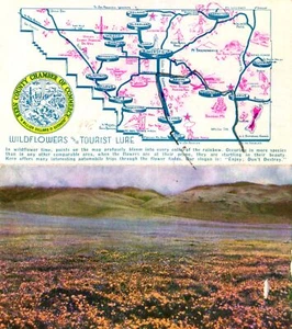 Postcard CA: Wildflower & Tourist Lure, Kern County, California, Map - Picture 1 of 2