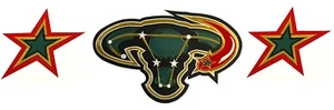 Dallas Stars Mooterus Cow Bull NHL Hockey Jersey Patch Black Alternate Third - Picture 1 of 6