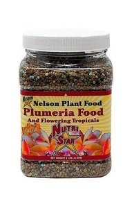 Nelson Plumeria Pflanzen alle blühenden Tropicals Lebensmittel Farne Orchideen Lilys 2 Pfund - Bild 1 von 9