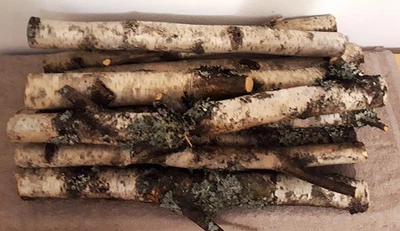 Birkenstamm Deko, 10 Stück, 50 cm lang, 4-5 cm Durchmesser, Birkenholz basteln - Bild 1 von 4