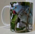 Rose-Ringed Parakeet (Blue Morph) In The Wild Image Coffee Mug- Parrots, Birds