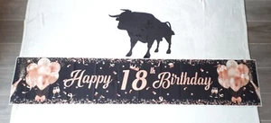 Happy Birthday Banner 18. Geburtstag rosa Flagge Luftballon - Bild 1 von 2