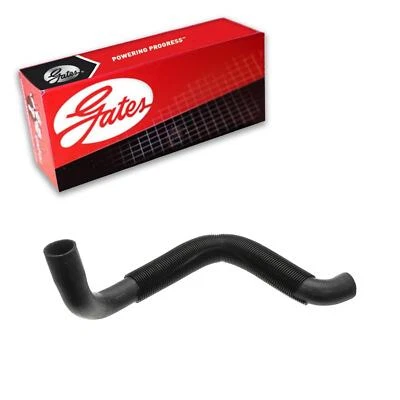 Manguera de refrigerante de radiador Gates inferior para GMC K1500 1994-1998 4,3 L V6 GAS Foto 1 de 3