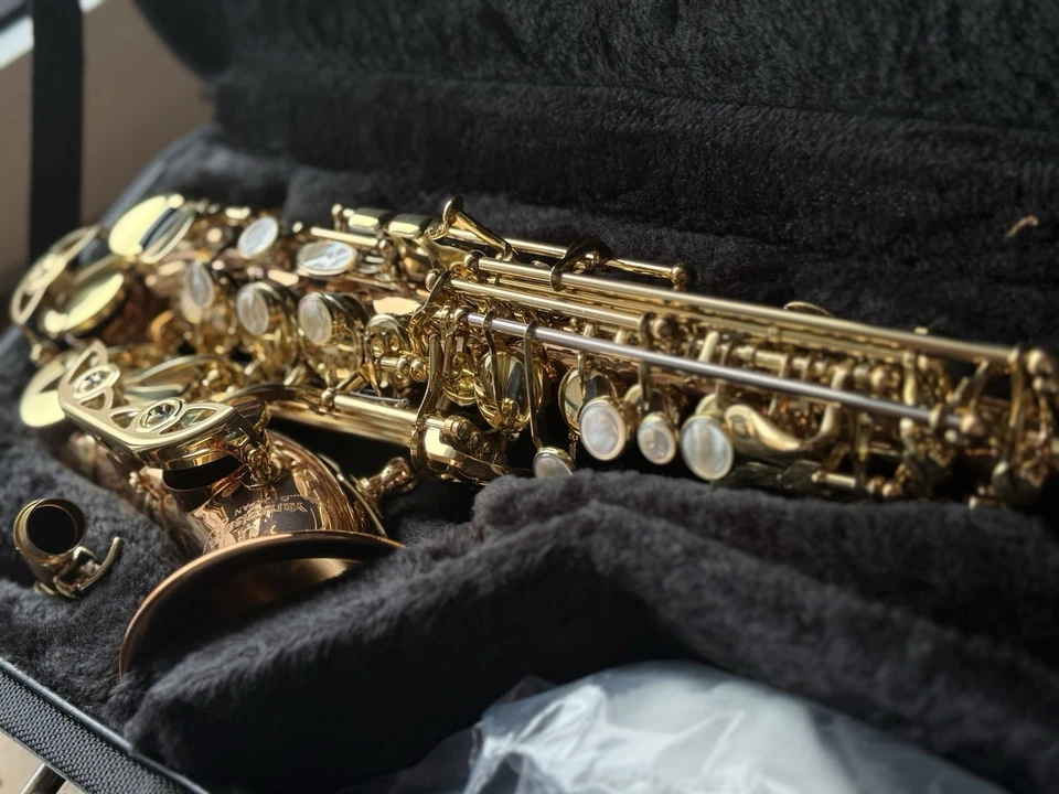 NUEVO Saxofón Soprano Yanagisawa SC-WO20 con accesorios completos Foto 1 de 4
