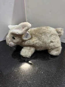 Ty Beanie Buddy - Buttons - MWMT - Picture 1 of 6