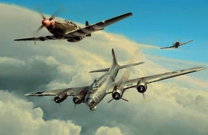 Wounded Warrior by Richard Taylor aviation art signed by two WW2 American pilots - Picture 1 of 2