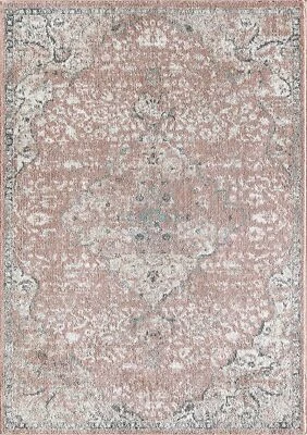 Alfombra America Hailey Hy50b Transitional Vintage Rosa Amaranto Feel Foto 1 de 4