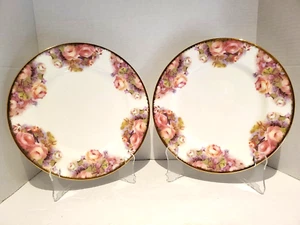 Leonardo Canziani Fine Bone China Dinner Plates Set Of 2 England 10.25" Roses - Picture 1 of 16