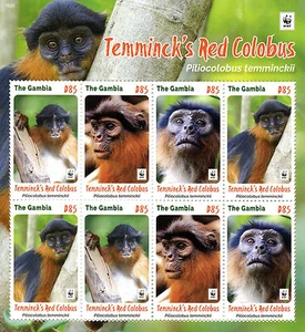 Gambia 2016 MNH Temminck's Red Colobus WWF 8v M/S Monkeys Wild Animals Stamps - Picture 1 of 1