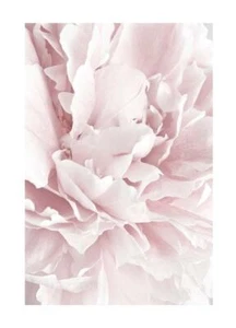 Poster Floreale Stampa Moderna Natura Arredo Parete Stampa Wall Art Fleurs Rosa - Picture 1 of 27