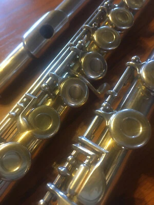 Flauta de plata de ley Communhardt M2S con estuche y palo de hisopo Foto 1 de 4