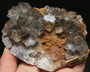 Cubo azul natural 538 g espécimen de racimo de cristal de fluorita de China 1 - Imagen 1 de 11
