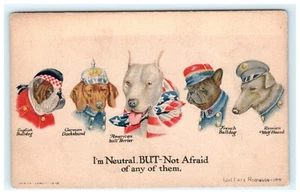 WW1 Propaganda Dogs of Countries Wallace Robinson American Bull Terrier - Picture 1 of 2