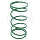 Spring Variomatic Green 25KG 738.47.61 Free Delivery Poste 50 2000-2001