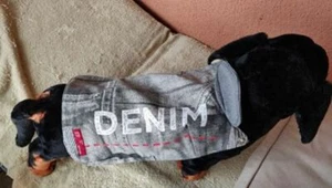 Hundemantel für kleine Hunde, Rücken ca. 30 cm, Unikat - Bild 1 von 3