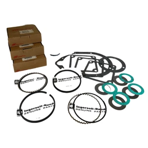 Ingersoll Rand 32213613 OEM Ring and Gasket Kit for the 15V Vacuum Pump - Picture 1 of 7