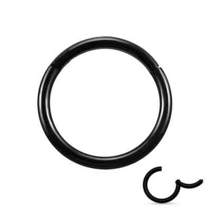 16G Surgical Steel Nose Ring Septum Clicker Hinge Segment Ear Helix Tragus Hoop - Picture 1 of 16