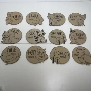 Baby Monthly Milestone Cards Wooden Milestone Photo Cards Newborn Photography... - Picture 1 of 3