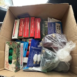 Box Full of C9 Replacement Light Bulbs Ceramic Style Multi Color Christmas - Picture 1 of 13