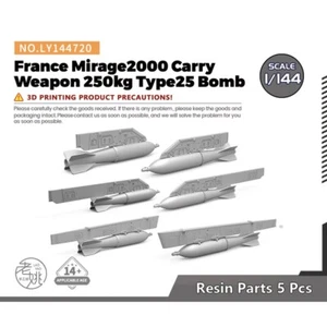LY144720 1/144 Upgrade Parts France Mirage2000 Carry Weapon 250kg Type25 Bomb - Picture 1 of 7