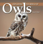 Tracy C. Read Exploring the World of Owls (Paperback)