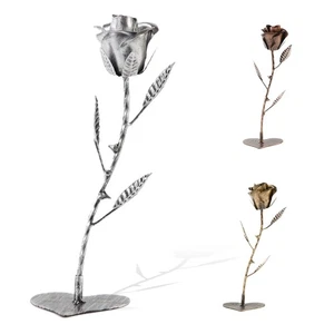 AevrBlos Iron 6 Year for Her, Metal Rose Iron Gift for Wife 6th Anniversary, ... - Picture 1 of 6