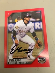 Ethan Murray Signed Card 2022 Wisconsin Timber Rattlers Team Card IP Auto - Picture 1 of 1