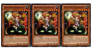 Yugioh - 3X Traptrix Nepenthes - Common - 1st Edition - JOTL-EN034 - Light Play - Picture 1 of 1