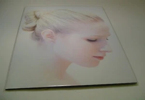 "Serenity" Intermediate Classification art by Larry E. Santucci - Picture 1 of 2